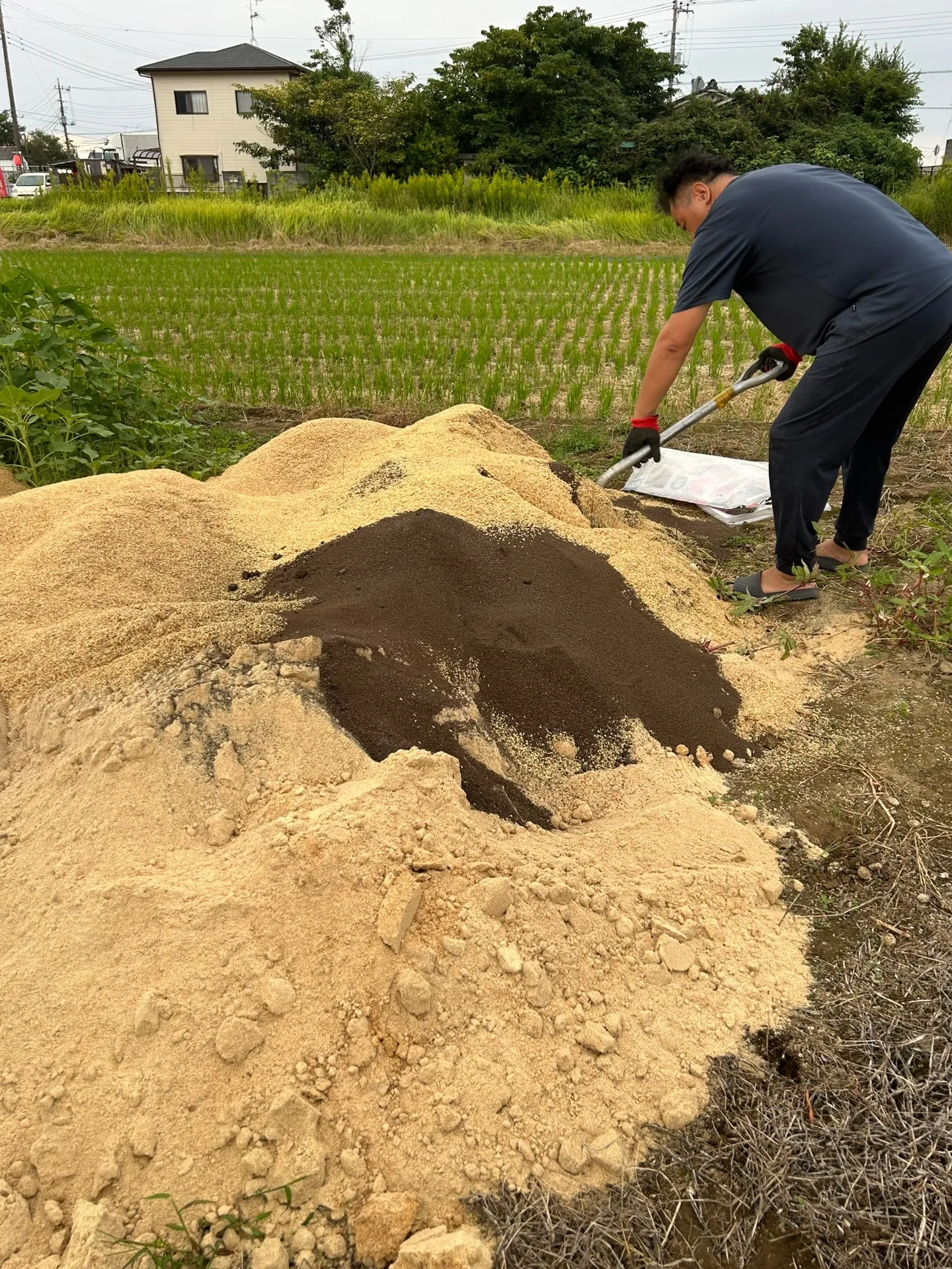 【Nuccoと鶏糞・籾殻・米ぬかでつくる有機肥料】