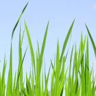代表あいさつ